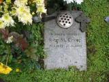 image of grave number 244420